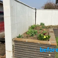 画像255